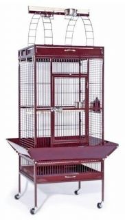 wrought iron parrot cage in Cages