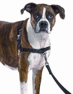 Premier Gentle Leader Easy Walk Harness for Dogs, All Sizes