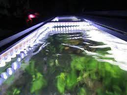 Salt Water Aquarium Reef Fish Tank WHITE 6500K Lighting LED Strip 250 
