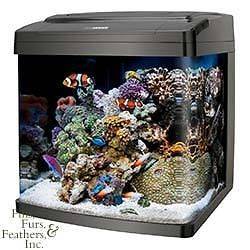 biocube aquarium in Aquariums