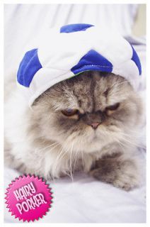 SALE [Soccer Pet Hat for Cat and Dog] Costume Cap 4 Size Football