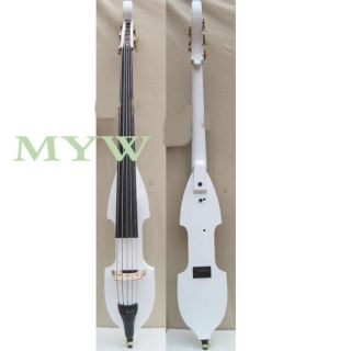 electric upright bass in String