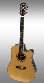 Washburn Acoustic Electric Guitar in Guitar