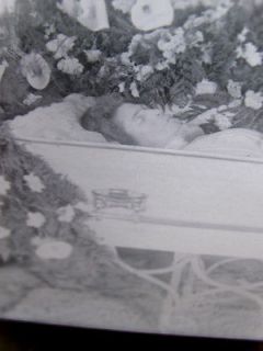   plate negative photograph post mortem /dead lady coffin flowers deer
