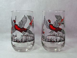 1970s 2 Pheasant Bird Tumbler Glasses 12 Ounce Glass Excellent 