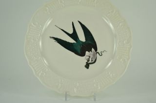   Audobon Birds of America Plates Swallow Tail Hawk Raptor Porcelain