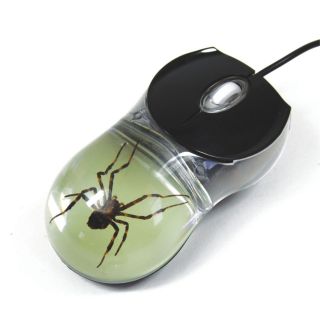 Real Spider Computer Mouse Glow in the Dark