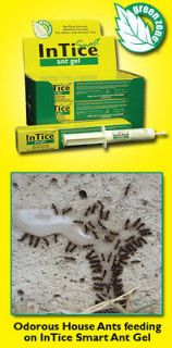   Intice Smart Ant Gel Pro Ant Bait Ant Killer Ant Control Ant Treatment