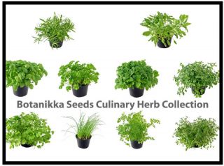 Make Your Own Herb Seed Collection Kitchen Cooking Culinary Garden .99 