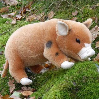 Chloe Micro Pig ginger spotted with cream snout soft toy by Kosen 