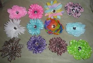 12 Polka Dot Rainbow Gerber Daisy Cheetah 4 Flower Heads Lot 