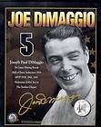 JOE DiMAGGIO Signature Model 1940s Spalding Glove x
