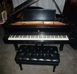 Antique Steinway Grand Piano Model  B Black Laquer,  c 