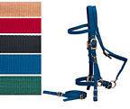 Bridle & Halter Combo with Reins 5 Colors NEW