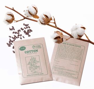 Cotton Plant Seeds (10 seeds )   Educational Resource at School & Home