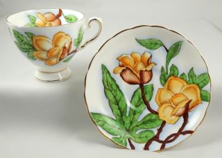Tuscan Bone China ~ Hawaiian Flowers   Wood Rose ~ Tea Cup & Saucer
