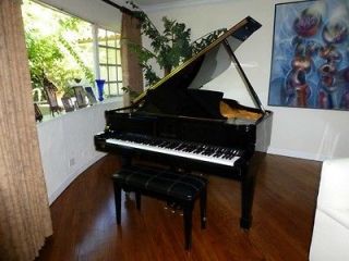 Musical Instruments & Gear  Piano & Organ  Piano