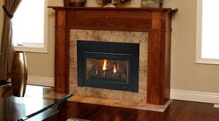 gas fireplace in Fireplaces