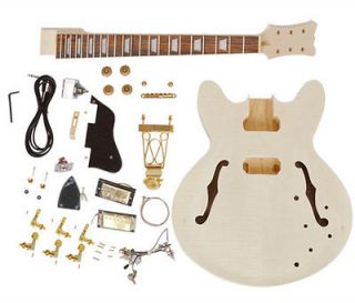 guitar kit in Guitar