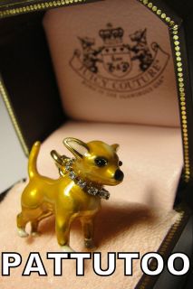   COUTURE CHIHUAHUA PET DOG COLLAR GOLD BRACELET CHARM + TAGGED BOX
