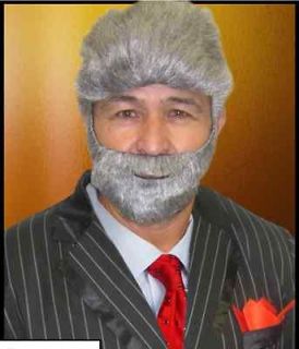 The Most interesting man in the world costume Wig and beard set grey