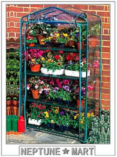 mini greenhouse in Greenhouses