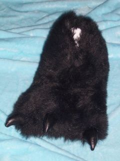   big Foot Polar Bear black Green Tiger Animal Feet Claw Paw Slipper