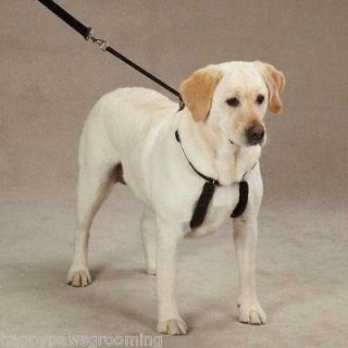   Gear (SPORN) Anti NO PULL Dog COLLAR HARNESS Halter Restraint System