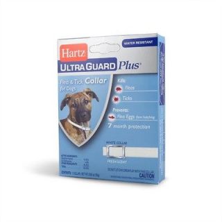 HARTZ ULTRA GUARD PLUS FLEA & TICK COLLAR FOR DOGS~FITS NECKS UP TO 22 