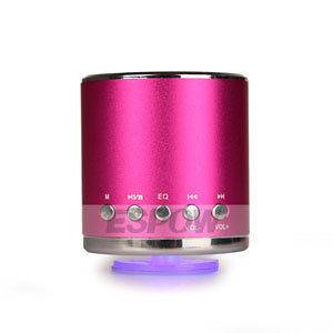   Portable Speaker for Laptop /MP4/iPhone/iPod/PC with Micro SD Slot