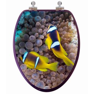   Clown Fish 3D Image Custom Toilet Seat W/ Chrome Hinges Elongated