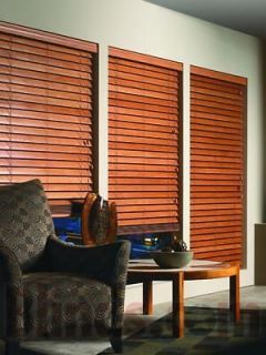 window blinds in Blinds & Shades