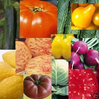 Buyers Choice Heirloom Vegetable Garden Seeds 15 Varieties   Free 