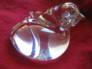 Baccarat Grooming Cat Clear French Crystal Signed Private Collection