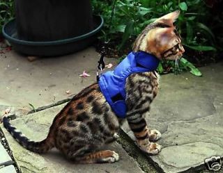 cat walking harness in Dog Supplies