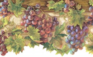   COUNTRY KITCHEN GRAPES ON VINE 6 5/8 MOLDING Wallpaper bordeR Wall