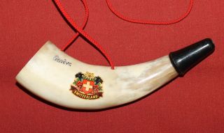 Vintage Swiss Polished Cow Horn Whistle