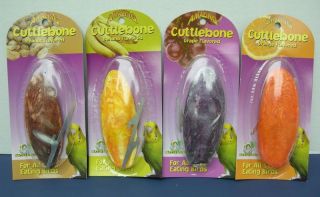 cuttlebone in Bird Supplies