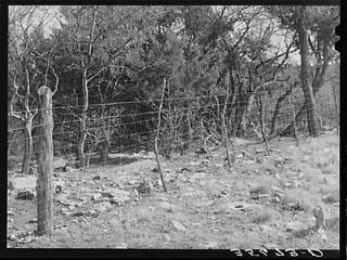 Sheep ,goat pr​oof fence in Kimble County,Texas