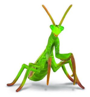 CollectA 88351 Praying Mantis   Realistic Predatory Insect Toy Replica 