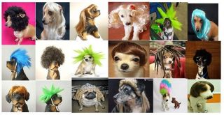Pet Supplies  variety of pet wigs for your pet dog and cat. ^_^ free 