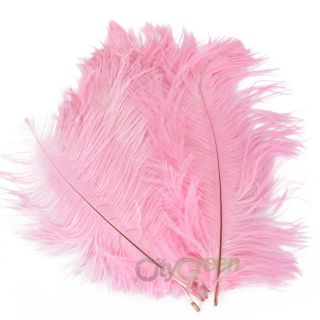 pink ostrich feathers in Feathers