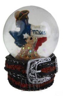 Collectibles > Souvenirs & Travel Memorabilia > United States > Texas 