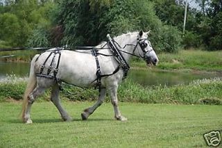 Amish made biothane   beta draft horse parade harness
