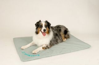 COOL BED III 3 Canine Pet Dog Cooler Mat Pad MEDIUM