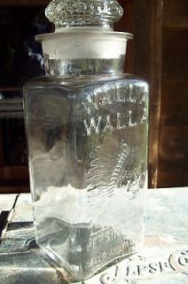 ANTIQUE WALLA WALLA PEPSIN GUM JAR COUNTER DISPLAY / APOTHECARY 