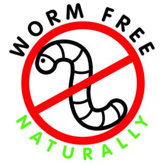 Wormfree Naturally Natural Horse De Wormer w/Probiotics