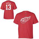 Detroit Red Wings Pavel Datsyuk Red Name and Number Jersey T Shirt