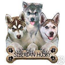 Puppies & Bisquit Siberian Husky Dress Nightshirt