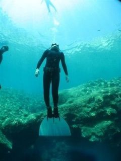 FREEDIVE high quality FIBERGLASS MONOFIN   special build for your size 